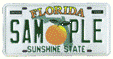 Florida Vehicle Registration Service